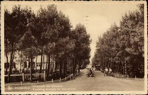 Ak Zoute Knokke Heist Westflandern, Promenade aux Sapinieres