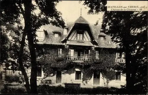 Ak Chatillon sur Cher Loir et Cher, La Cheteuse