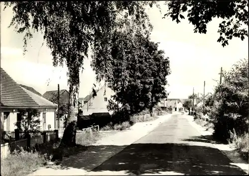 Ak Lamsfeld Schwielochsee Brandenburg, Straßenpartie