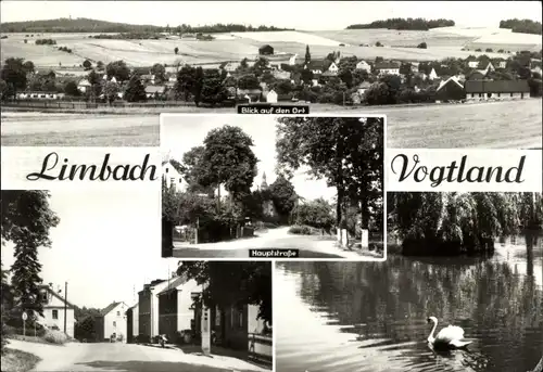 Ak Limbach im Vogtland, Panorama vom Ort, Hauptstraße, Schwanenteich