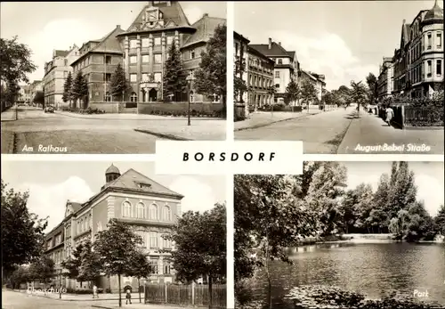 Ak Borsdorf in Sachsen, Rathaus, Oberschule, Park, August Bebel Straße