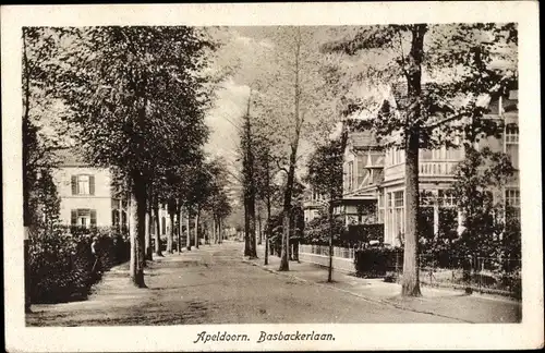 Ak Apeldoorn Gelderland, Basbackerlaan