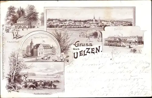 Ak Uelzen in Niedersachsen, Bahnhof, Fischerhof, Kaiserl. Postamt, Haidschnucken, Panorama