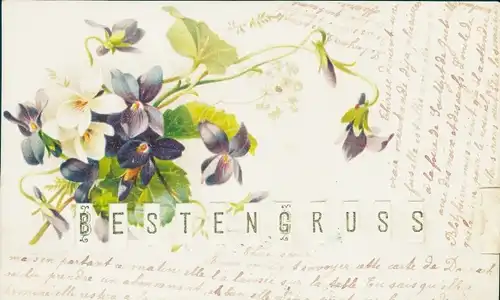 Mechanische Litho Besten Gruß, Veilchen, Blumen