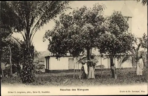 Ak Récoltes des Mangues, Mangobäume, Mission, Kirche