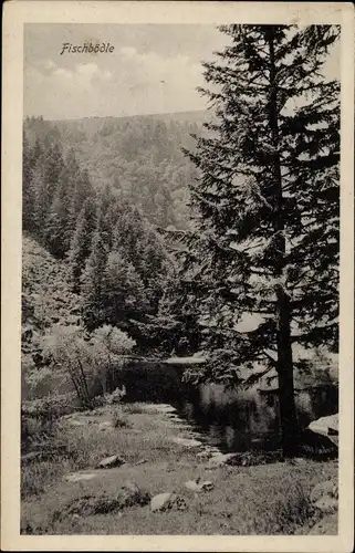 Ak Metzeral Elsass Haut Rhin, Lac de Fischbœdle, Fischbödle, Fischboedle