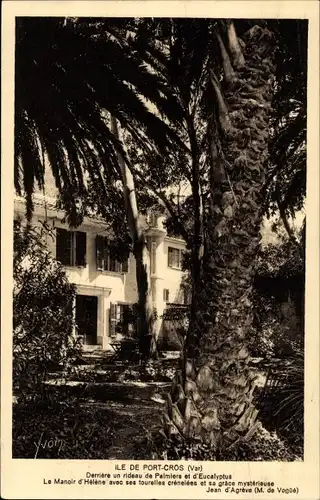 Ak Ile de Port-Cros Var, Blick von den Palmen zum Herrenhaus