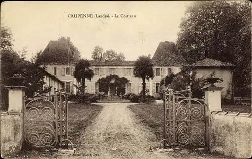 Ak Caupenne Landes, Château, Eingang