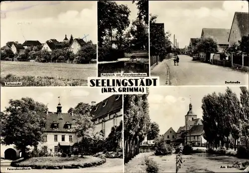 Ak Seelingstädt Trebsen an der Mulde Sachsen, Dorfstraße, Feierabendheim, Parkteich