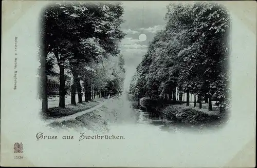 Mondschein Ak Zweibrücken in der Pfalz, Fluss, Ufer, Allee