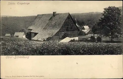 Ak Oberbärenburg Altenberg im Erzgebirge, Teilansicht der Ortschaft