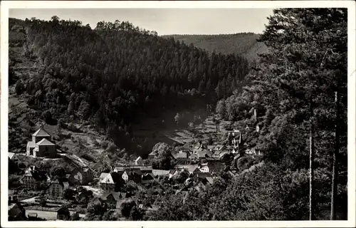 Ak Elmstein in der Pfalz, Ortsansicht, Kirche, Wald