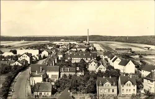 Ak Naunhof im Kreis Leipzig, Panorama, Blick auf die Wurzener Straße