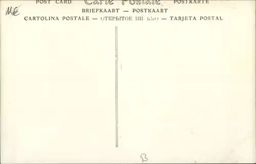 Ak Bruxelles Brüssel, La Joyeuse Entrée du Roi Albert 1909, König Albert I.