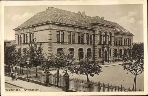 Ak Holzminden in Niedersachsen, Gymnasium