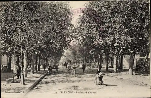 Ak Tlemcen Algerien, Boulevard National, Hauptstraße, Spaziergänger