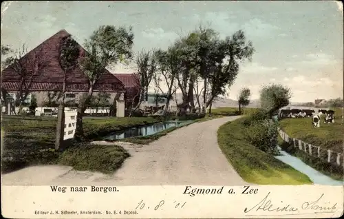 Ak Egmond aan Zee Nordholland Niederlande, Weg naar Bergen