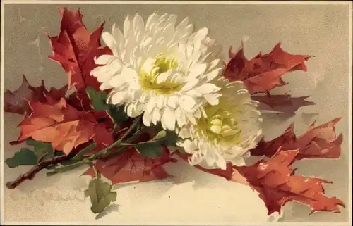 Künstler Ak Klein, Catharina, Weiße Blüten und rot gefärbtes Laub, Meissner und Buch 1631