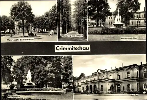 Ak Crimmitschau in Sachsen,Waldweg im Sahnpark, Robert-Koch-Platz, Brunnen, Friedenshain