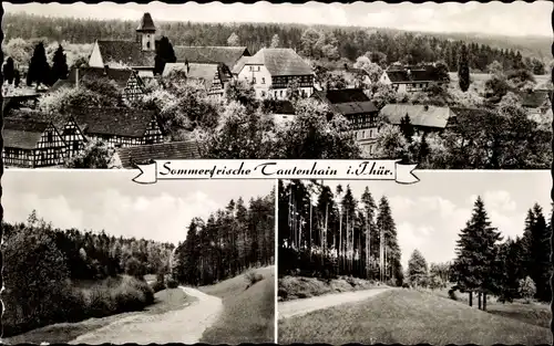 Ak Tautenhain in Thüringen, Panorama, Waldwege