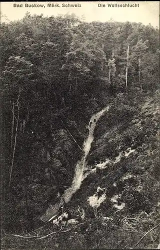 Ak Buckow in der Märkischen Schweiz, Die Wolfsschlucht