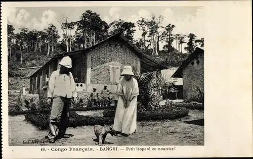 Ak Banghi Französisch Kongo, Petit leopard en nourrice