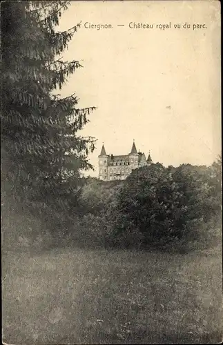 Ak Ciergnon Wallonien Namur, Chateau royal vu du parc