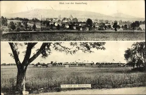 Ak Reichenbach in der Oberlausitz, Landwirtschafts Ausstellung, Tierschau 1910, Panorama
