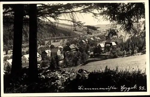 Ak Rechenberg Bienenmühle Erzgebirge, Panorama