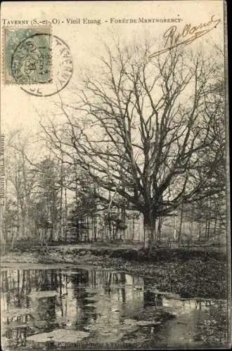 Ak Taverny Val d'Oise, Vieil Etang, Foret de Mrntmorency