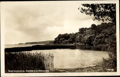 Ak Neubrandenburg in Mecklenburg, Tollensesee