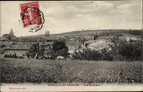 Ak Dombasle en Argonne Meuse, Vue Generale