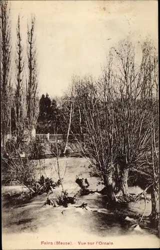 Ak Fains Meuse, Vue sur l'Ornain