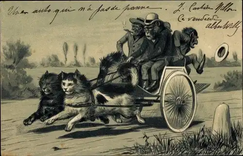 Präge Litho Vermenschlichte Tiere, Katzen ziehen eine Kutsche mit Affen, Schimpansen