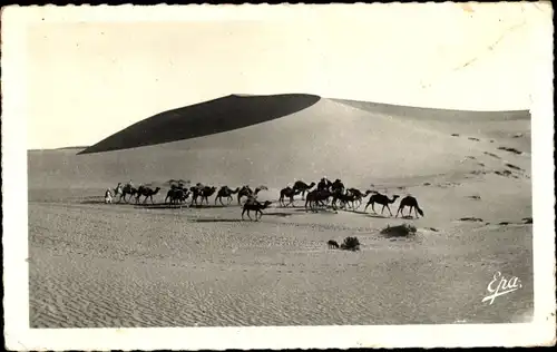 Ak Ghardaia Algerien, Caravane dans les Dunes, Kamele