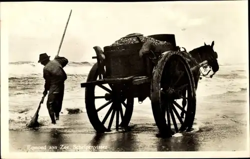 Ak Egmond aan Zee Nordholland Niederlande, Schelpenvisser