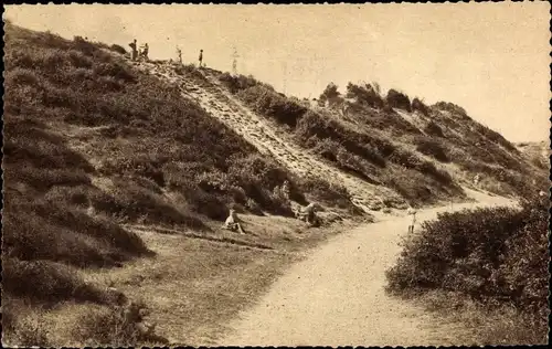 Ak Blankenberghe Blankenberge Westflandern, Sentier dans les Dunes