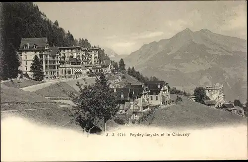 Ak Feydey Leysin Kanton Waadt, le Chaussy, Panorama