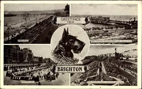 Ak Brighton East Sussex England, King's Road, Sun Terrace, Paddling Pool, Water Garden, Hund
