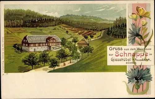 Litho Olešnice v Orlických horách Gießhübel im Adlergebirge Region Königgrätz, Weinhaus zur Schnappe