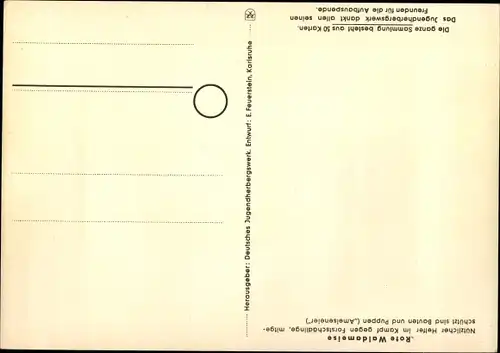 Künstler Ak Rote Waldameise, Jugendherbergsgroschen, Geschützte Pflanzen und Tiere der Heimat 47