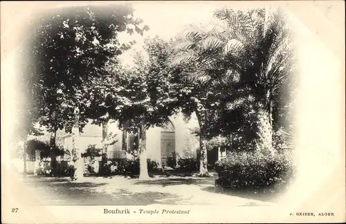 Ak Boufarik Algerien, Temple Protestant, Palmen