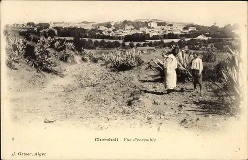 Ak Cherchell Algerien, Vue d'ensemble, Gesamtansicht mit Umgebung