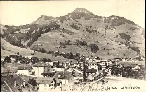 Ak Château d'Œx Oex Kanton Waadt, Vue vers le Nord-Est