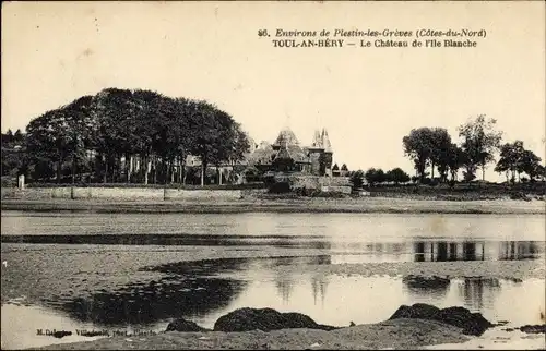 Ak Toul Meurthe et Moselle, Château de l'ile Blanche