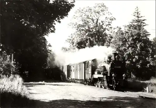 Ak Schmalspurbahn Putbus Göhren, Der Frühzug von Göhren bei der Einfahrt in Philippshagen