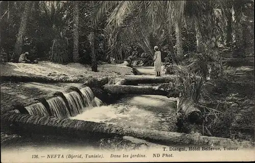 Ak Nefta Djerid Tunesien, Dans les jardins