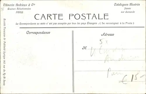 Ak Etablissements Vilmorin Andrieux et Compagnie, Betteraves fourragères, Choix des porte graines