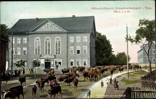 Ak Großbreitenbach in Thüringen, Heimkehr von der Weide, Rinder, Gasthof zum Schützenhof