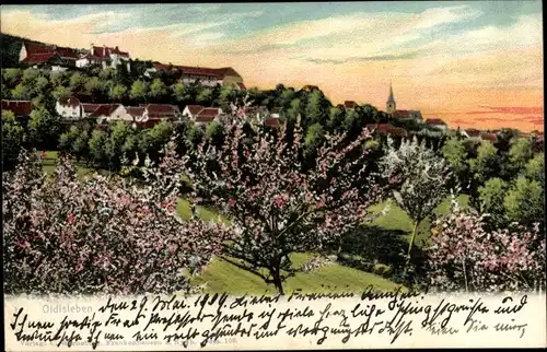 Ak Oldisleben am Kyffhäuser Thüringen, Teilansicht zur Baumblüte